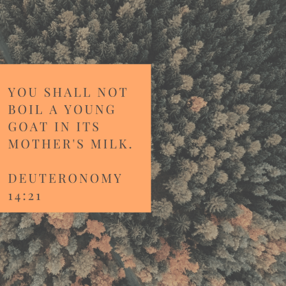 You shall not boil a young goat in its mother's milk.
Deuteronomy 14_21.png