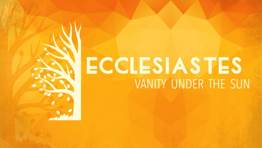 Vanity Under the Sun