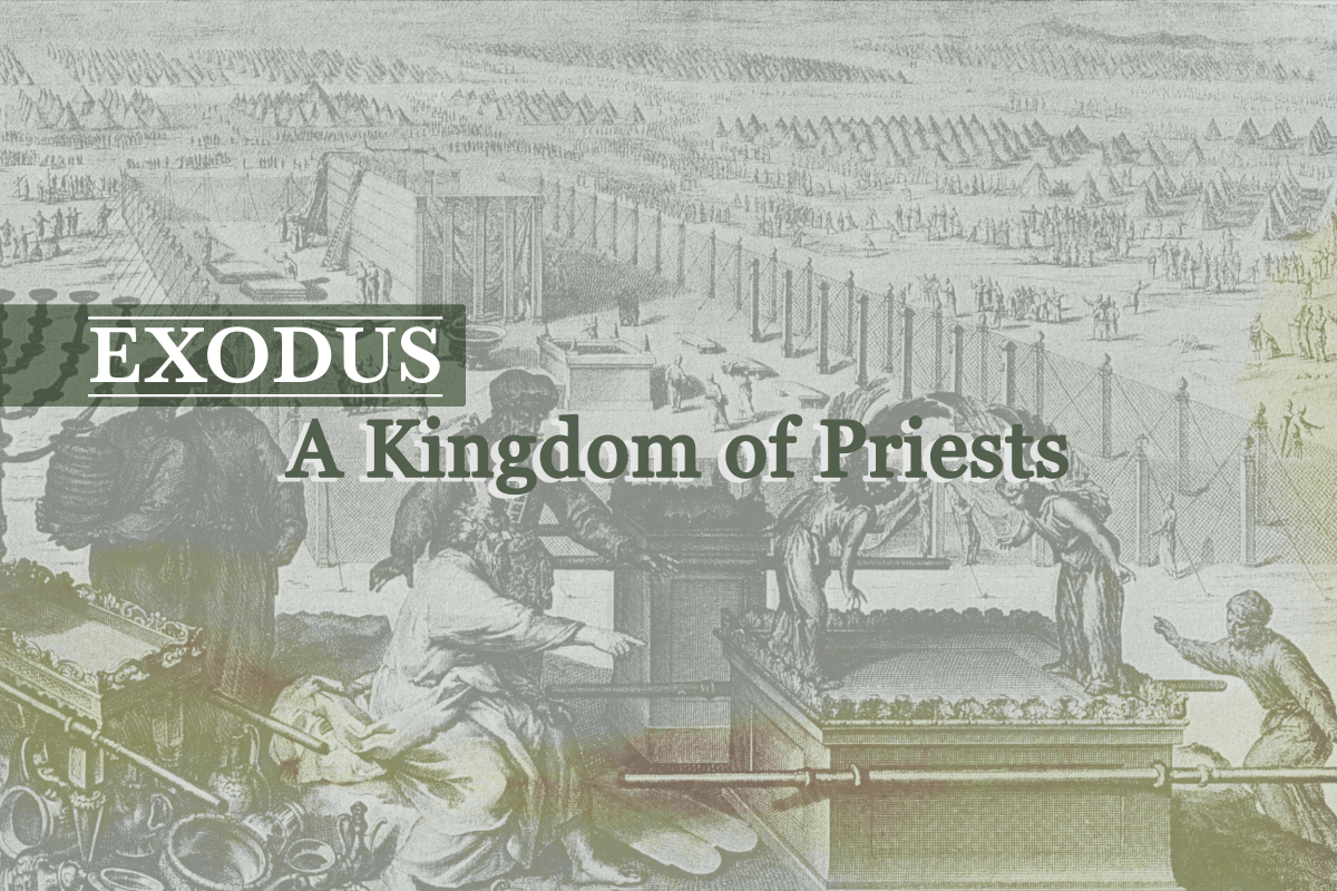 Exodus: A Kingdom of Priests – B. C. Newton